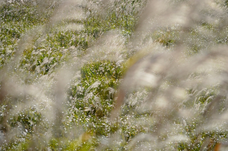 b0294877_11474875.jpg