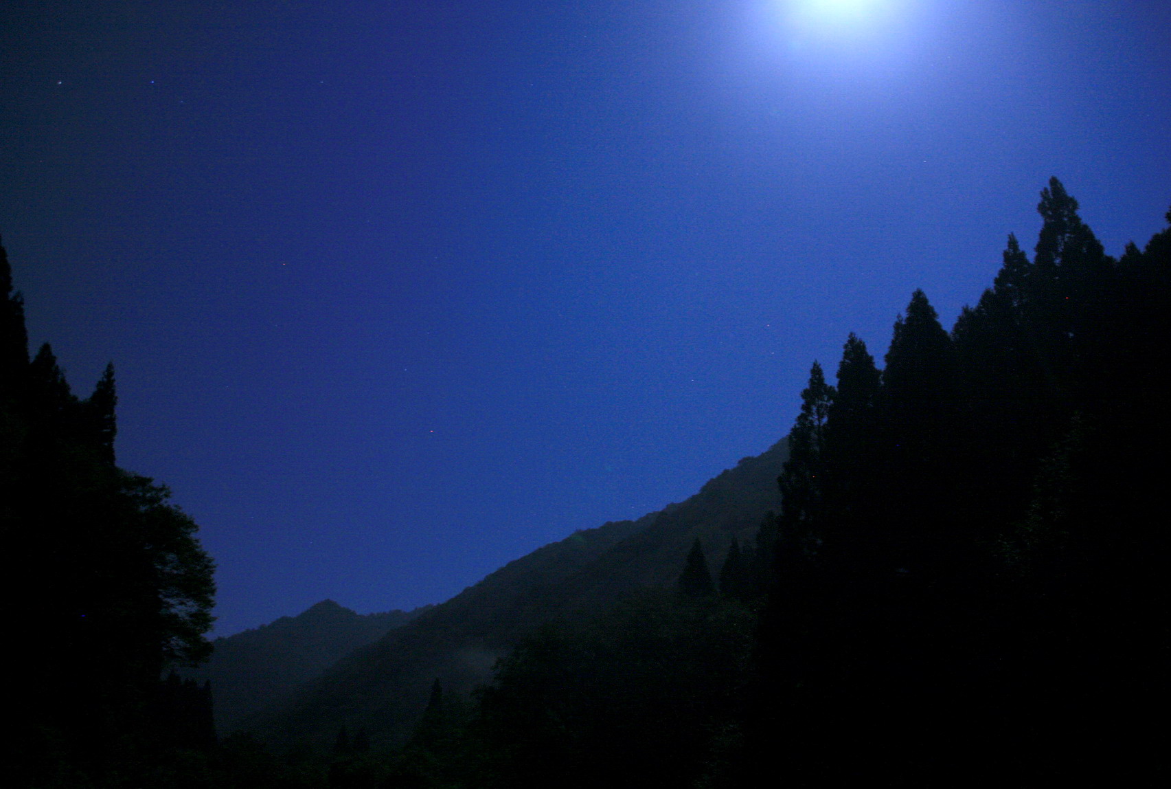 月夜の森 幻に魅せられて 月夜の森 幻に魅せられて