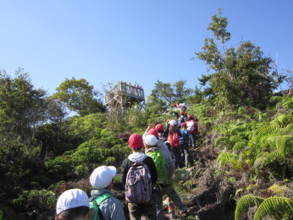 淡輪小学校２年生遠足「里山体験」　　in　　孝子の森　　　　by　　　(ナベサダ)_f0053885_20242869.jpg