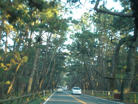 c0013687_8395372.jpg
