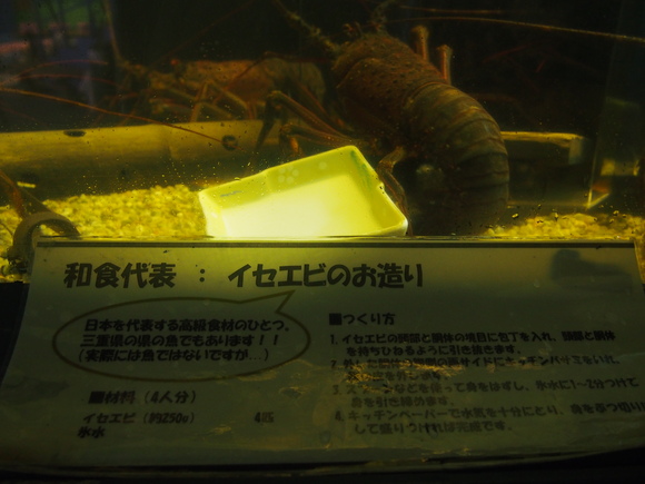 e0161692_15224180.jpg