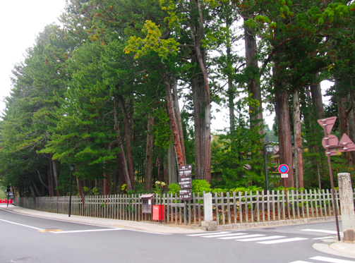 1199年めの高野山へ　〜その３・天空のまちへ③〜_a0146493_14465972.png