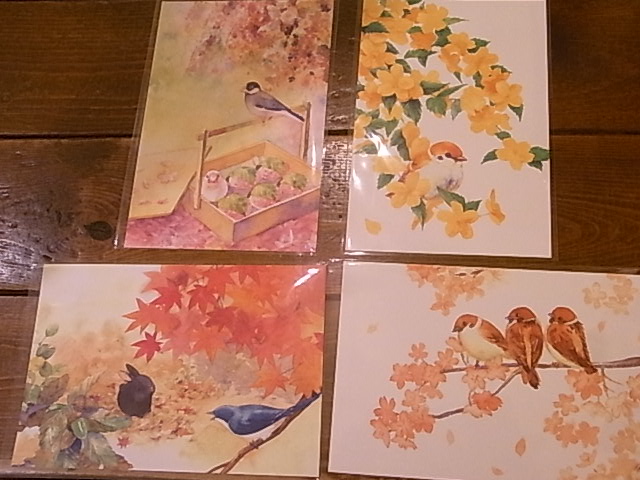 東急ハンズ梅田店インコと鳥の雑貨展新着情報です_d0322493_044538.jpg