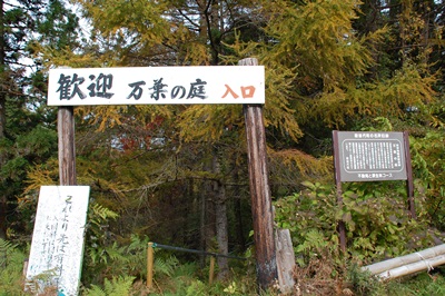 d0153294_1555291.jpg