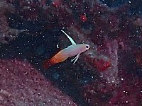 f0079996_1654720.jpg