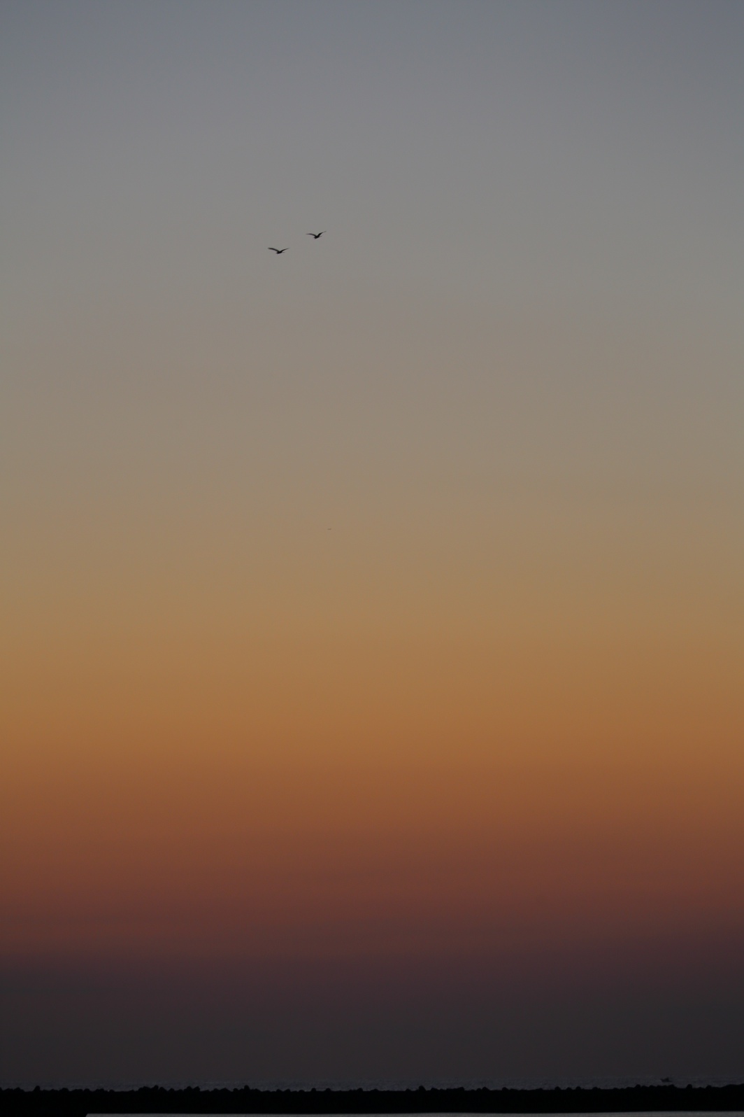 a0155104_623672.jpg