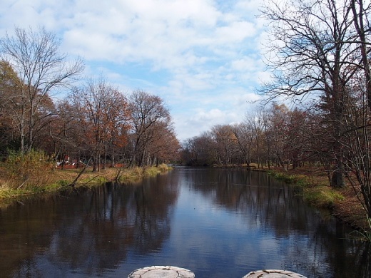 e0062415_1751086.jpg