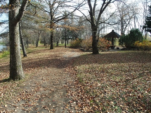 2014年10月24日（金）：モノクロへ変わりつつある世界[中標津町郷土館]_e0062415_1751897.jpg