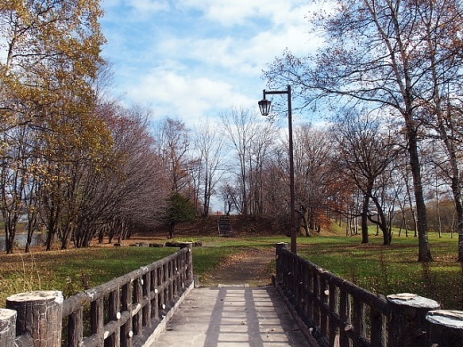 e0062415_1753522.jpg