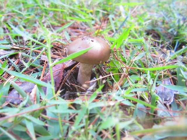 b0117618_2232068.jpg