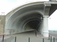 d0006323_1465920.jpg