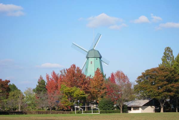 f0147025_16514724.jpg