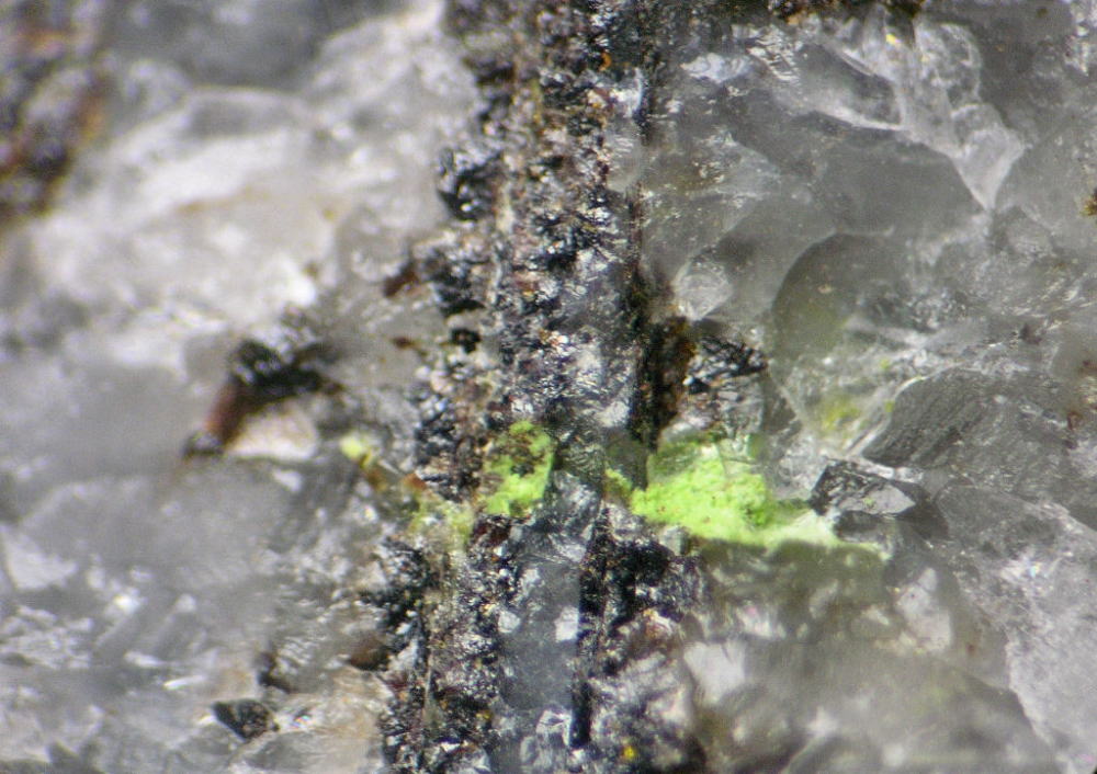 d0045626_14325630.jpg