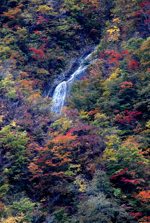 秋山明浄にして粧うが如し_a0229627_2126419.jpg