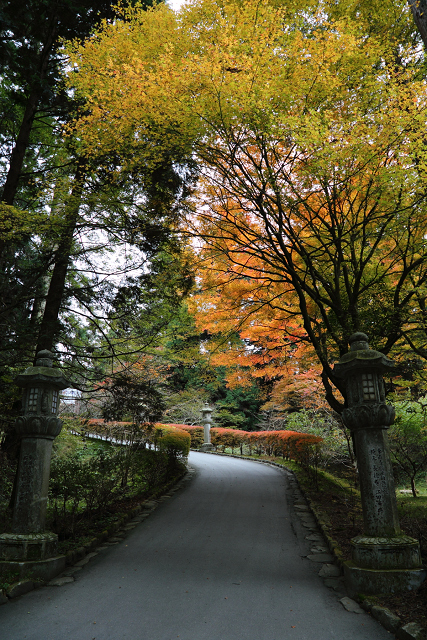 紅葉の比叡山 －延暦寺・西塔（にない堂、釈迦堂）－_b0169330_8104467.jpg