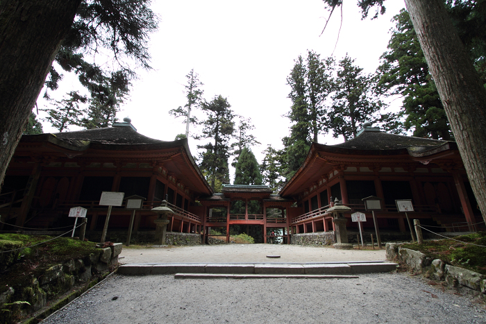 紅葉の比叡山 －延暦寺・西塔（にない堂、釈迦堂）－_b0169330_8111019.jpg