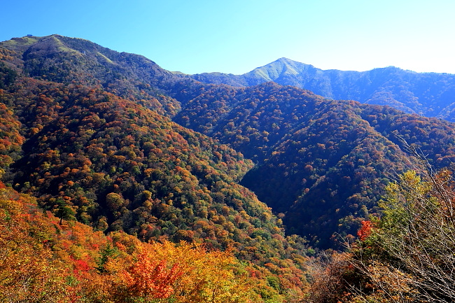 剣山紅葉_a0165631_23490823.jpg