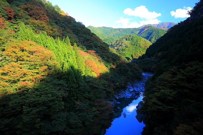 剣山紅葉_a0165631_23491524.jpg