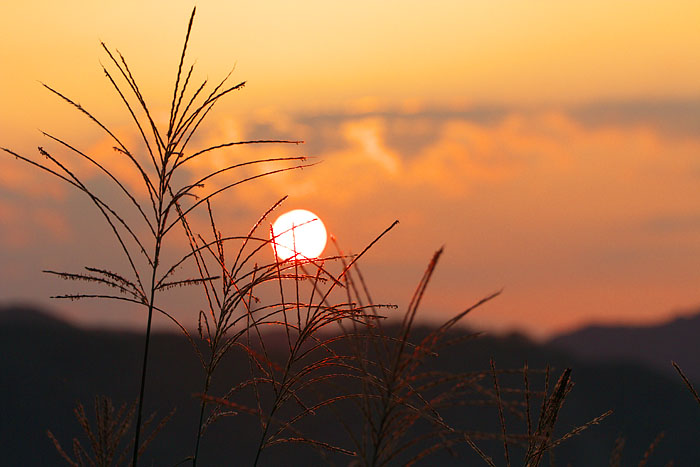 竹野海岸の夕暮れ_c0067040_20171650.jpg