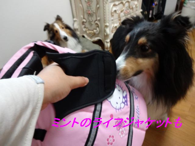 愛着のある壊れた古いミシン_e0195743_123645.jpg