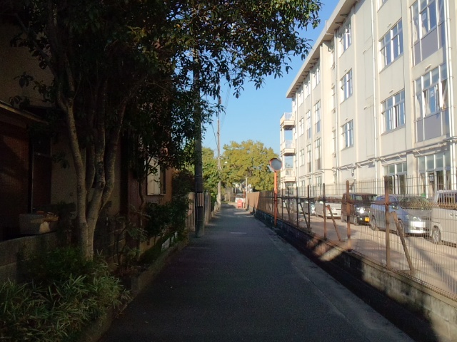 f0115152_1771150.jpg