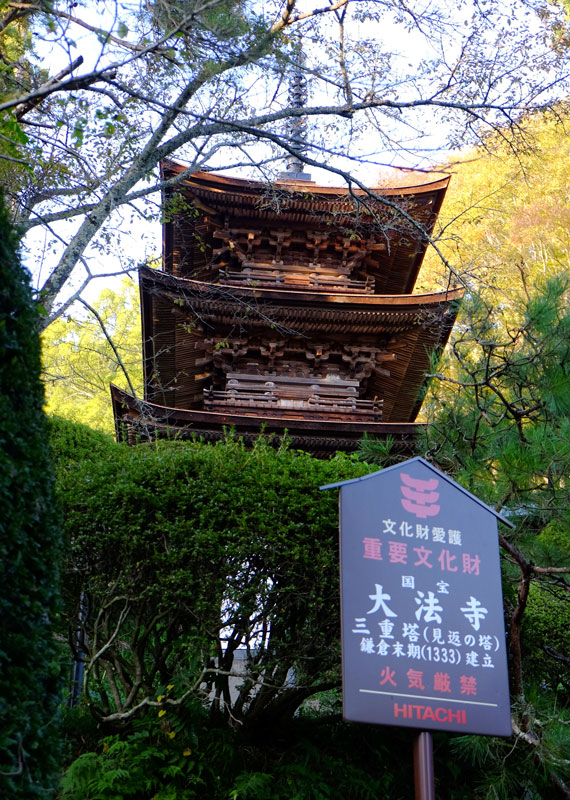 山寺に　新蕎麦食いて　秋想う_c0210054_053061.jpg