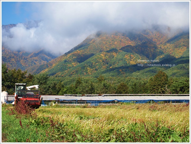 蕎麦畑と紅葉。_b0319255_11474952.jpg