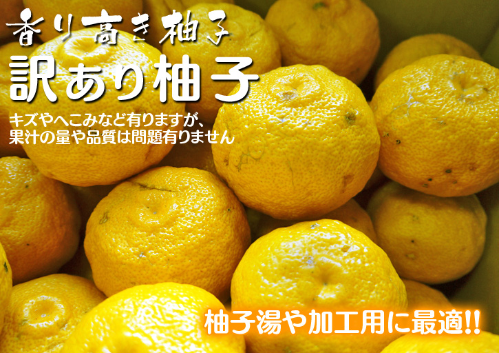 香り高き柚子 黄色く色づいてきました!いよいよ収穫間近です!!_a0254656_18292714.jpg