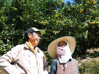 香り高き柚子 黄色く色づいてきました!いよいよ収穫間近です!!_a0254656_18525511.jpg