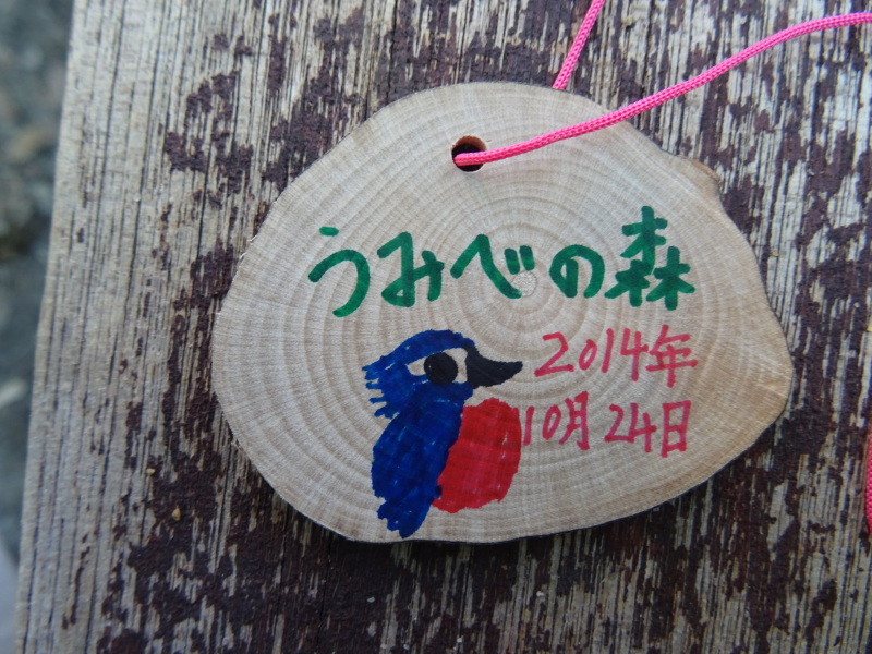 東光小学校4年生遠足「里山体験」 in うみべの森 by (TATE-misaki)_c0108460_22214908.jpg