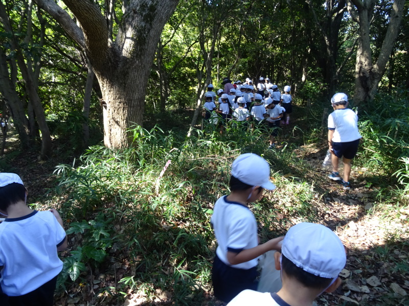 東光小学校4年生遠足「里山体験」 in うみべの森 by (TATE-misaki)_c0108460_22310240.jpg