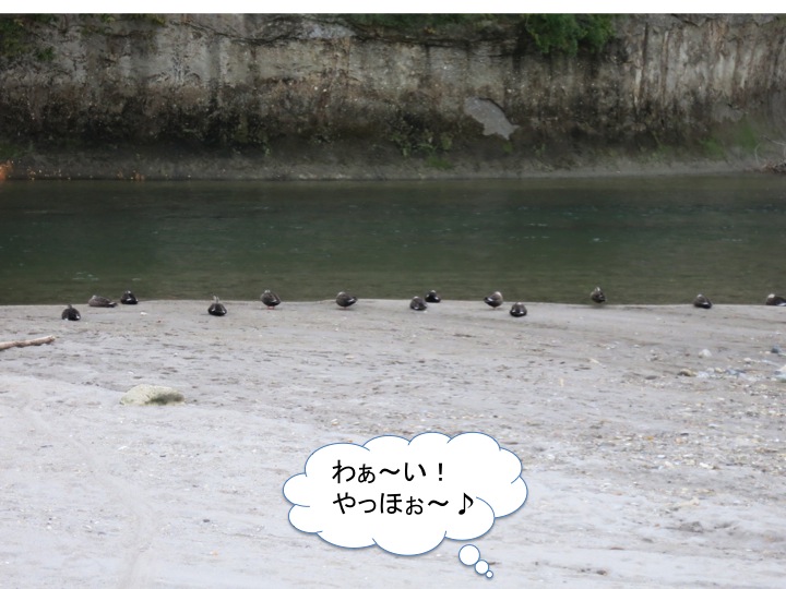 とり残されて。。。_c0260460_08500856.jpg