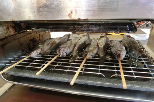 琵琶湖　アユ食べ放題サイクリング_b0332867_00434997.jpg