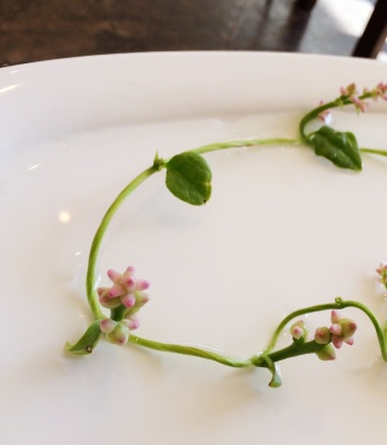野菜を素敵に飾る_f0245967_21515115.jpg