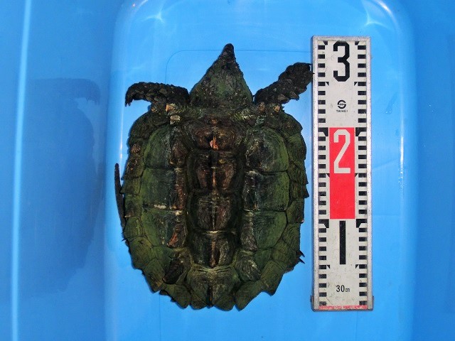 c0105569_105543.jpg