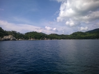 c0039073_2339335.jpg
