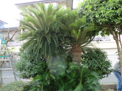 c0329378_13521460.jpg