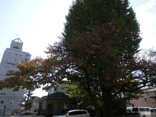 e0224980_16465369.jpg