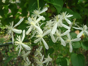 b0224081_10103339.jpg