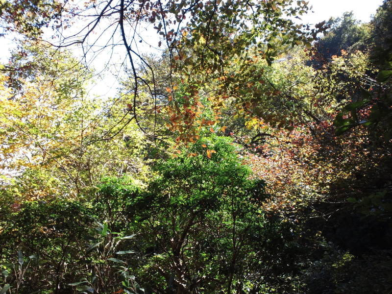 e0024081_19533515.jpg