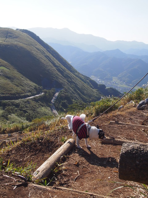 f0248782_11375754.jpg