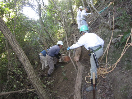 f0053885_21244931.jpg