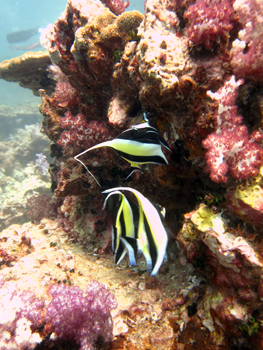 魚の動きが激しかったです!!_f0144385_20411811.jpg