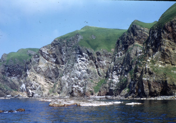 f0159390_95588.jpg