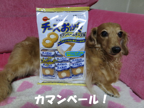温室のビニール張ったったｗｗｗ_b0200291_2165836.jpg