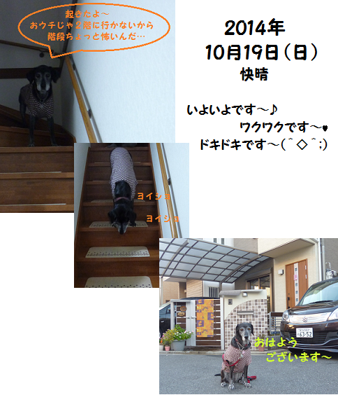 d0282395_22402767.png