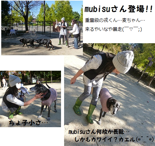 d0282395_22443238.png