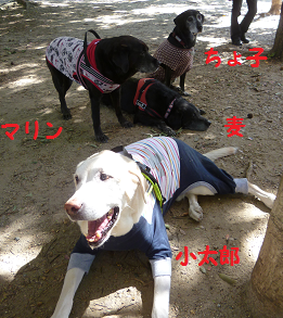 d0282395_22473943.png