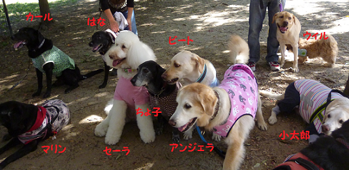 d0282395_224950100.png