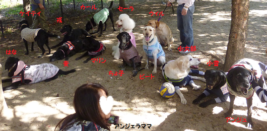 d0282395_22504332.png